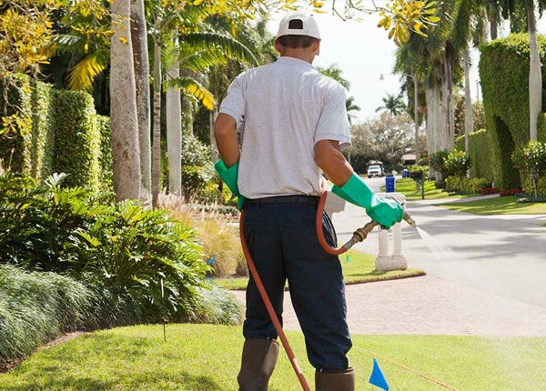 About Roodhouse IL Pest Control Pros
